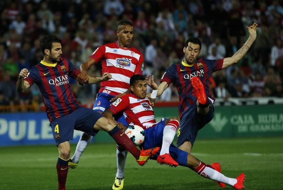 官方宣布尼 官方宣布尼